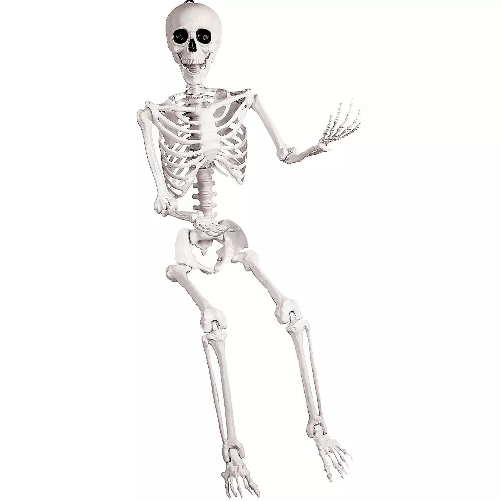 5' Skeleton Pose & Hold - Image 4